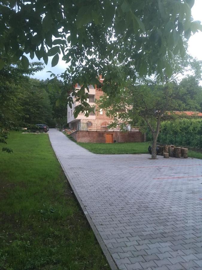 Vila Akademik A1 Soko Banja Exterior foto